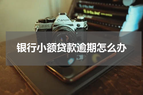 银行小额贷款逾期怎么办