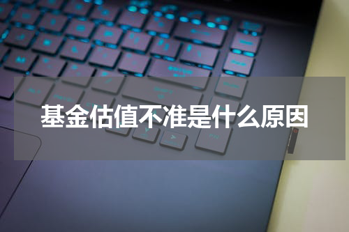 基金估值不准是什么原因