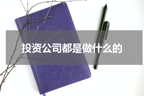 投资公司都是做什么的