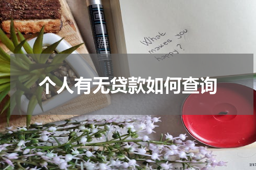 个人有无贷款如何查询