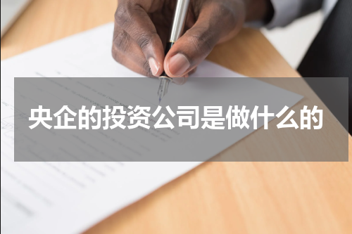 央企的投资公司是做什么的