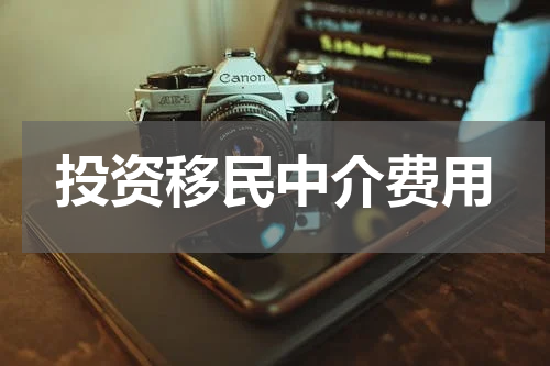 投资移民中介费用