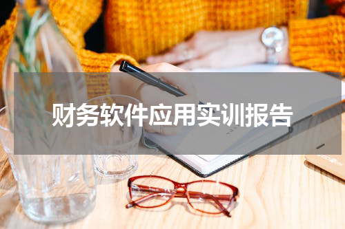 财务软件应用实训报告
