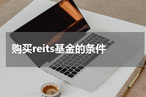 购买reits基金的条件