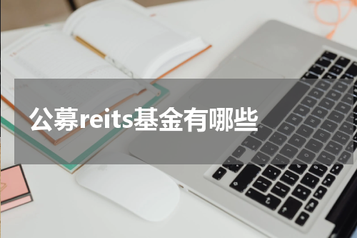 公募reits基金有哪些