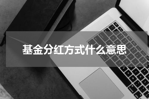 基金分红方式什么意思