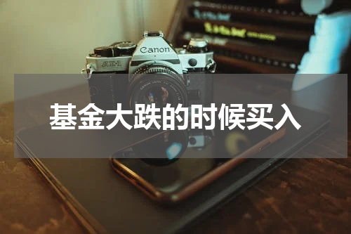 基金大跌的时候买入