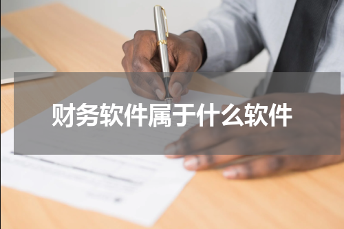 财务软件属于什么软件