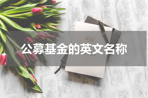 公募基金的英文名称