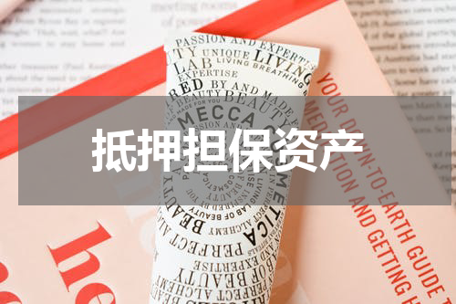 抵押担保资产