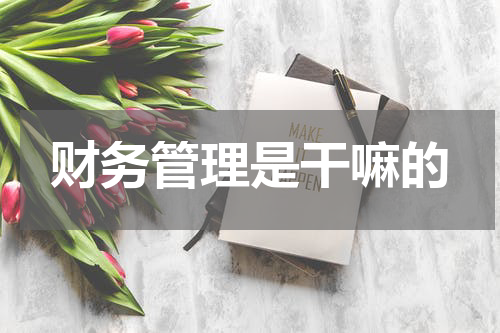财务管理是干嘛的