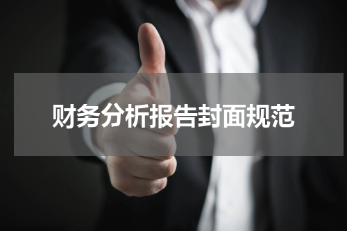 财务分析报告封面规范