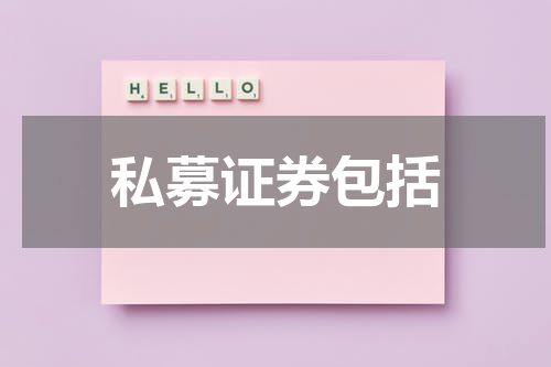 私募证券包括