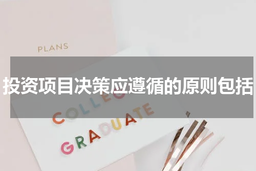 投资项目决策应遵循的原则包括