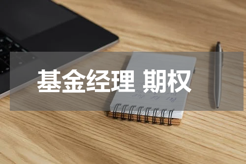 基金经理 期权
