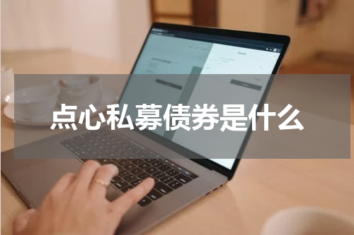 点心私募债券是什么