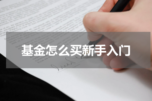 基金怎么买新手入门