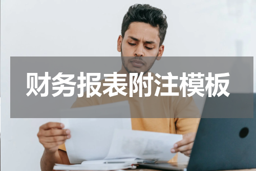 财务报表附注模板