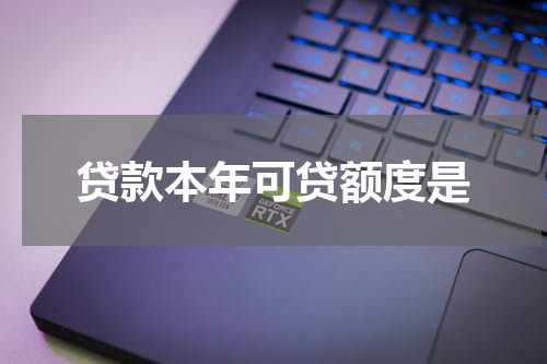 贷款本年可贷额度是