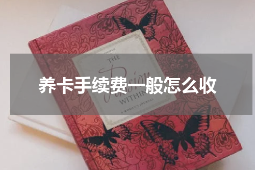 养卡手续费一般怎么收