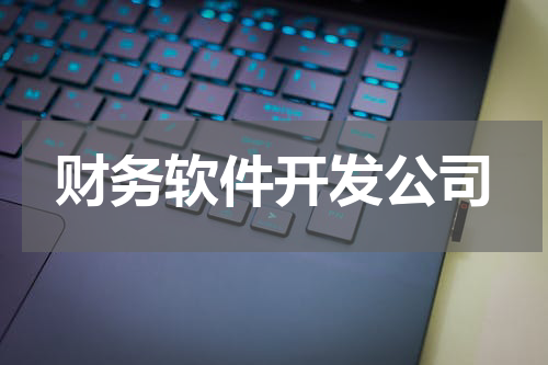 财务软件开发公司
