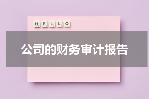 公司的财务审计报告