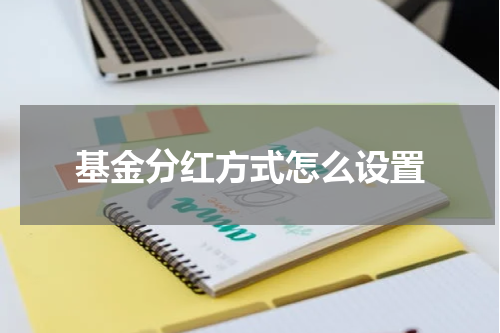 基金分红方式怎么设置
