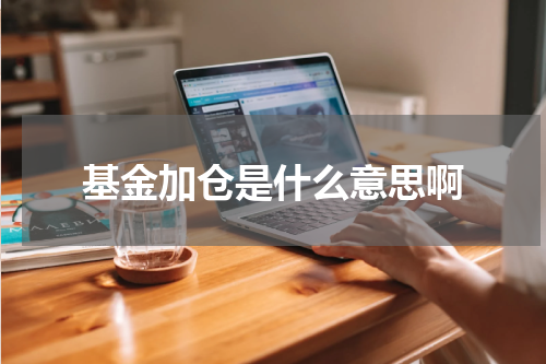 基金加仓是什么意思啊