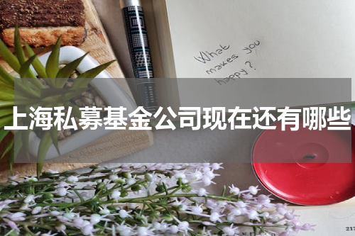 上海私募基金公司现在还有哪些