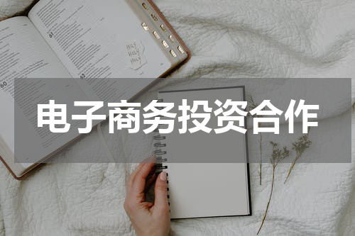电子商务投资合作