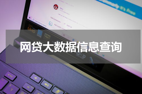 网贷大数据信息查询