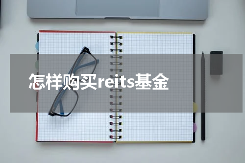 怎样购买reits基金