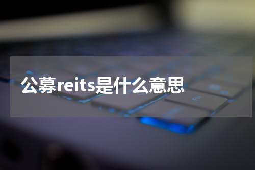 公募reits是什么意思