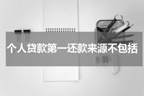 个人贷款第一还款来源不包括