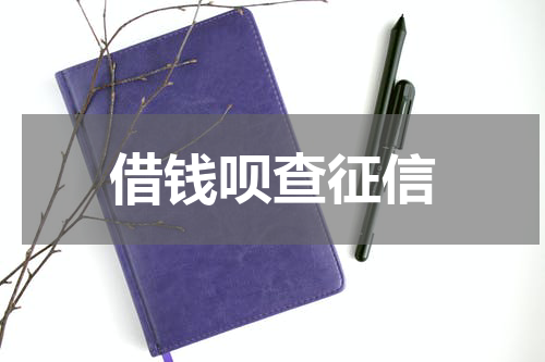 借钱呗查征信