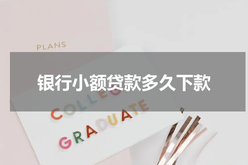 银行小额贷款多久下款