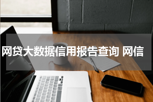 网贷大数据信用报告查询 网信
