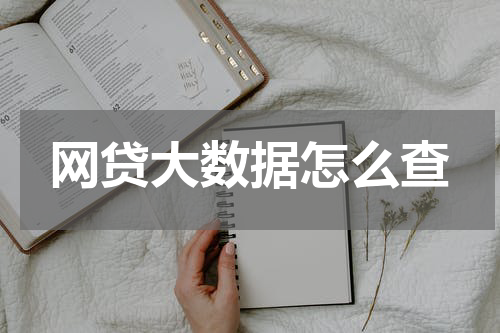 网贷大数据怎么查