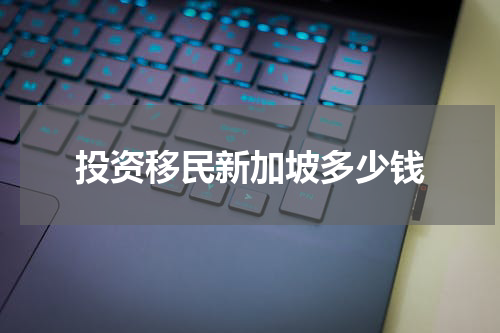 投资移民新加坡多少钱