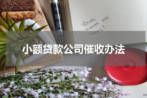 小额贷款公司催收办法
