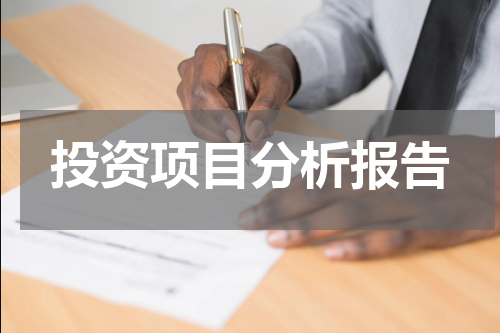 投资项目分析报告