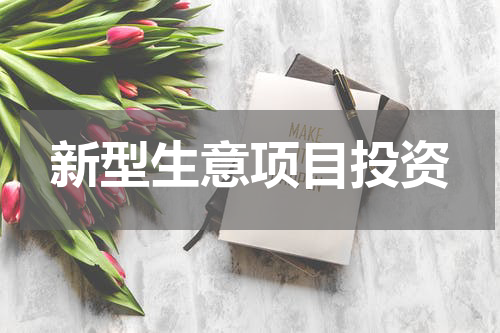 新型生意项目投资