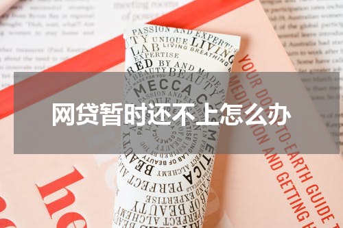 网贷暂时还不上怎么办