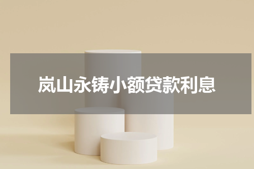 岚山永铸小额贷款利息