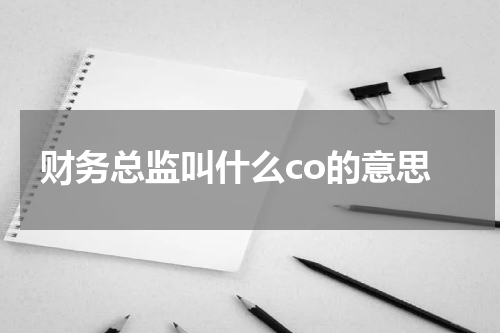 财务总监叫什么co的意思