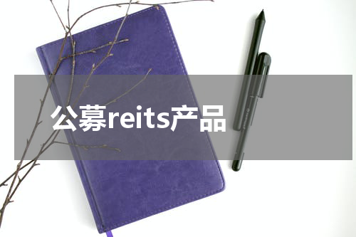 公募reits产品