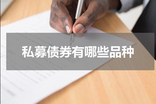 私募债券有哪些品种