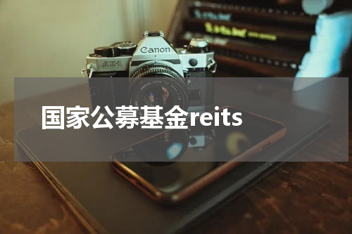 国家公募基金reits