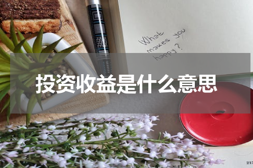 投资收益是什么意思