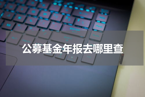公募基金年报去哪里查